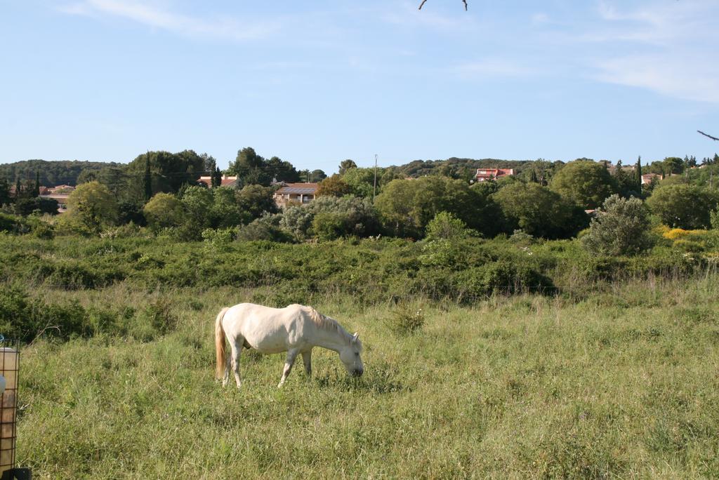 Mas Des Petits Loups Βίλα Cabrières Εξωτερικό φωτογραφία